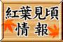 �g�t�������